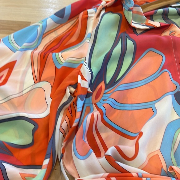 Alexis for target Beautiful multi floral colorful print maxi button up dress - Picture 14 of 16